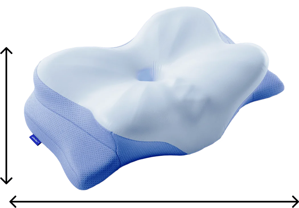 Derila Ergo pillow with measurements illustration